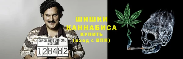 индика Новокубанск