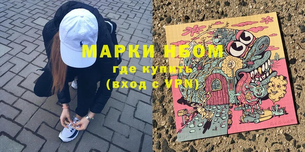 индика Новокубанск